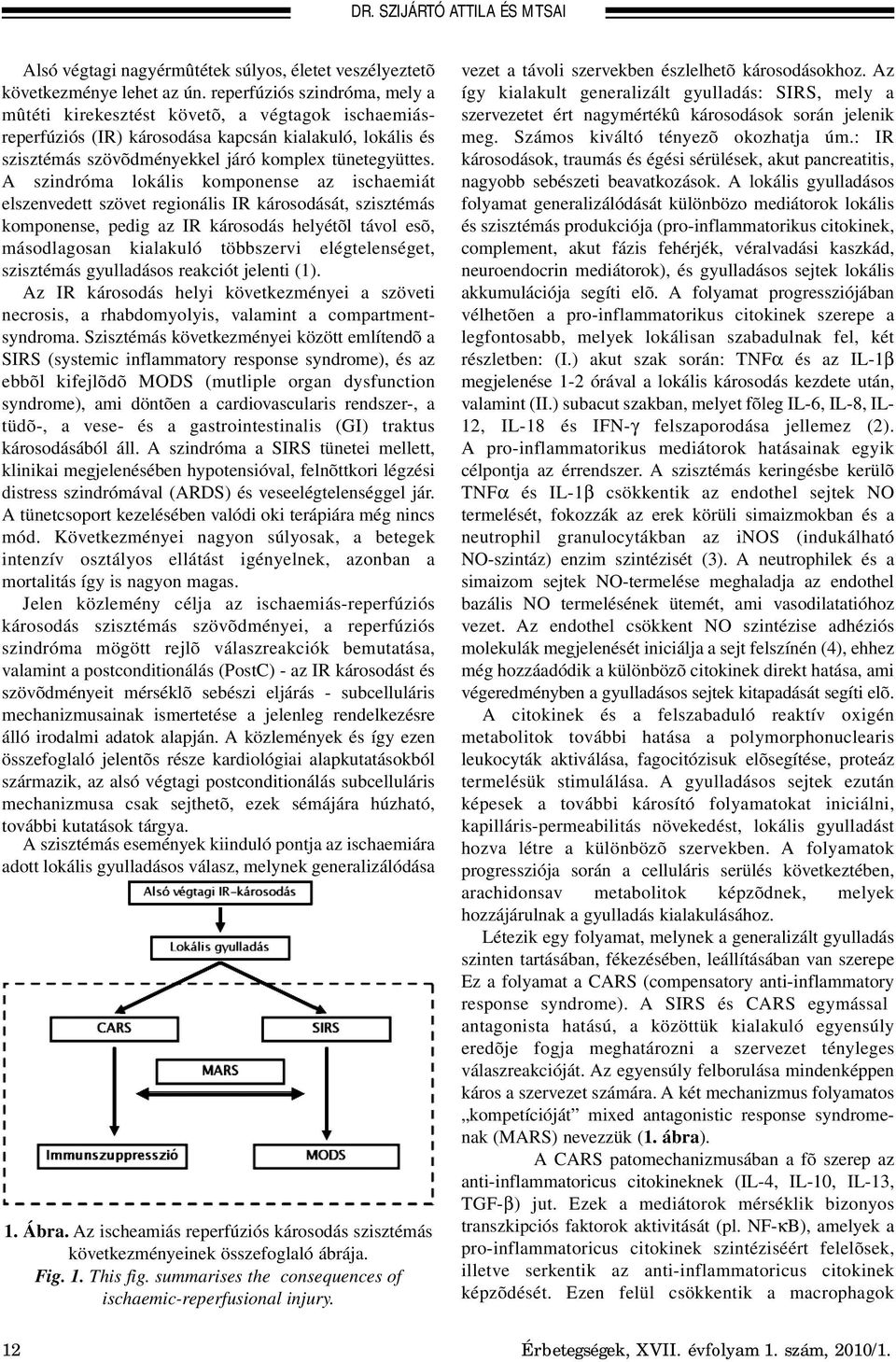 A szindróma lokális komponense az ischaemiát elszenvedett szövet regionális IR károsodását, szisztémás komponense, pedig az IR károsodás helyétõl távol esõ, másodlagosan kialakuló többszervi