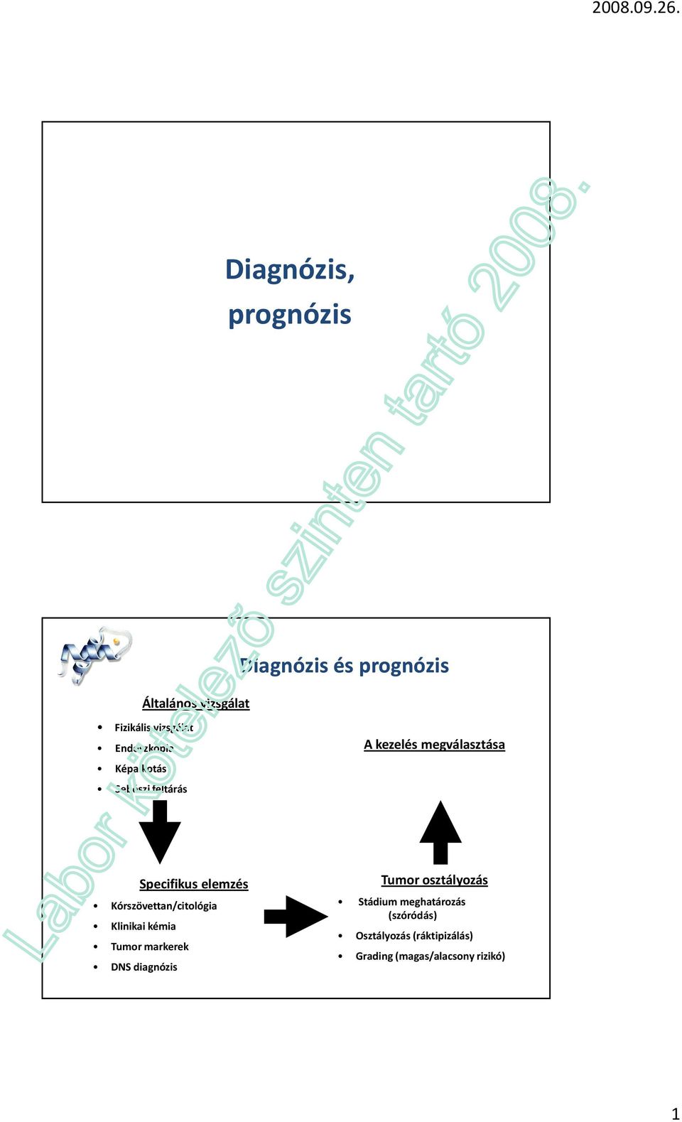 Kórszövettan/citológia Klinikai kémia Tumor markerek DNS diagnózis Tumor osztályozás