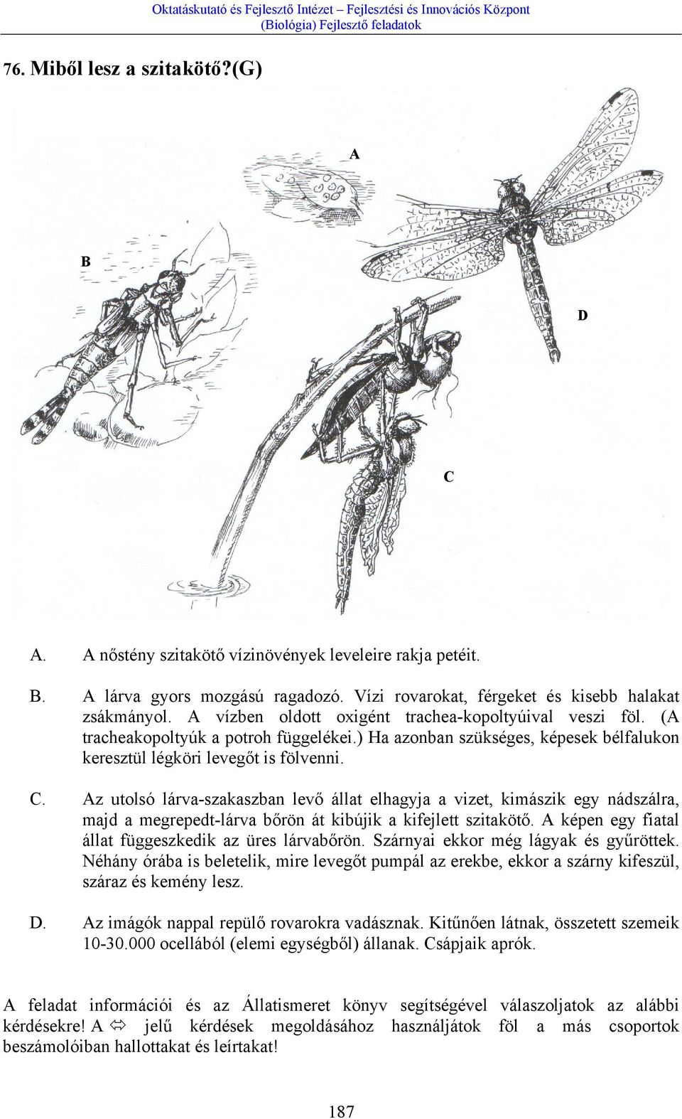 ) Ha azonban szükséges, képesek bélfalukon keresztül légköri levegőt is fölvenni. C.