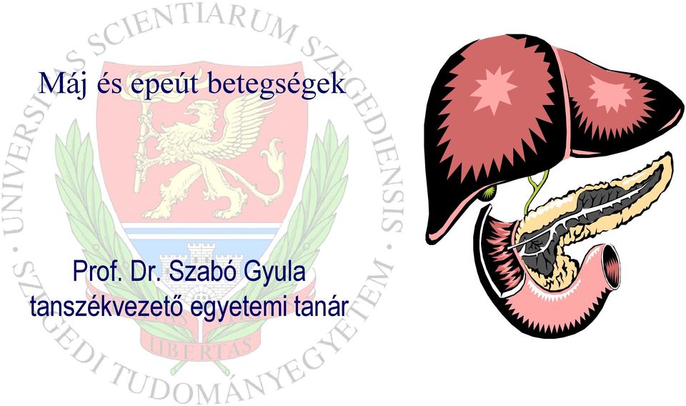 Dr. SzabóGyula