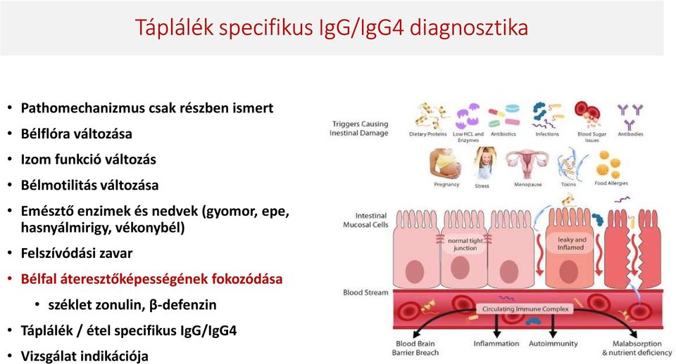 (gyomor, epe, hasnyálmirigy, vékonybél) Felszívódási zavar Bélfal áteresztőképességének