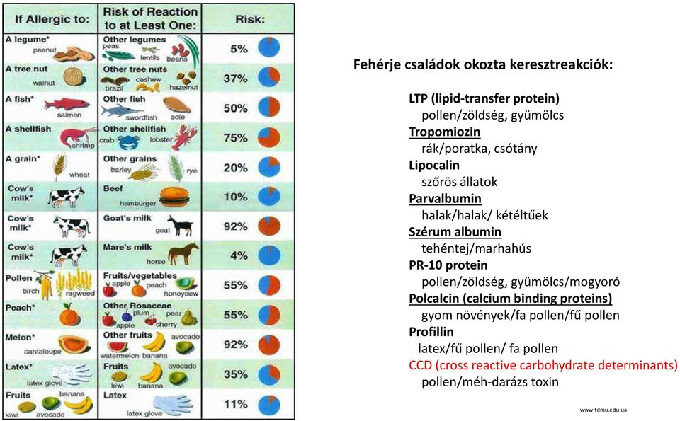 PR-10 protein pollen/zöldség, gyümölcs/mogyoró Polcalcin(calcium binding proteins) gyom növények/fa pollen/fű