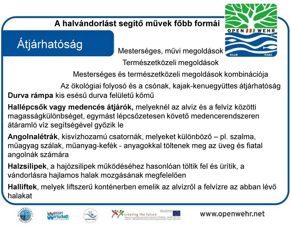 medencerendszeren átáramló víz segítségével győzik le Angolnalétrák, kisvízhozamú csatornák, melyeket különböző pl.