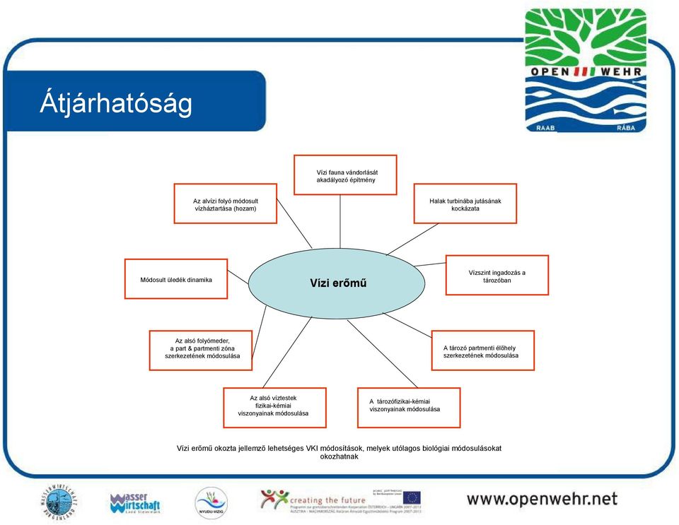 módosulása A tározó partmenti élőhely szerkezetének módosulása Az alsó víztestek fizikai-kémiai viszonyainak módosulása A