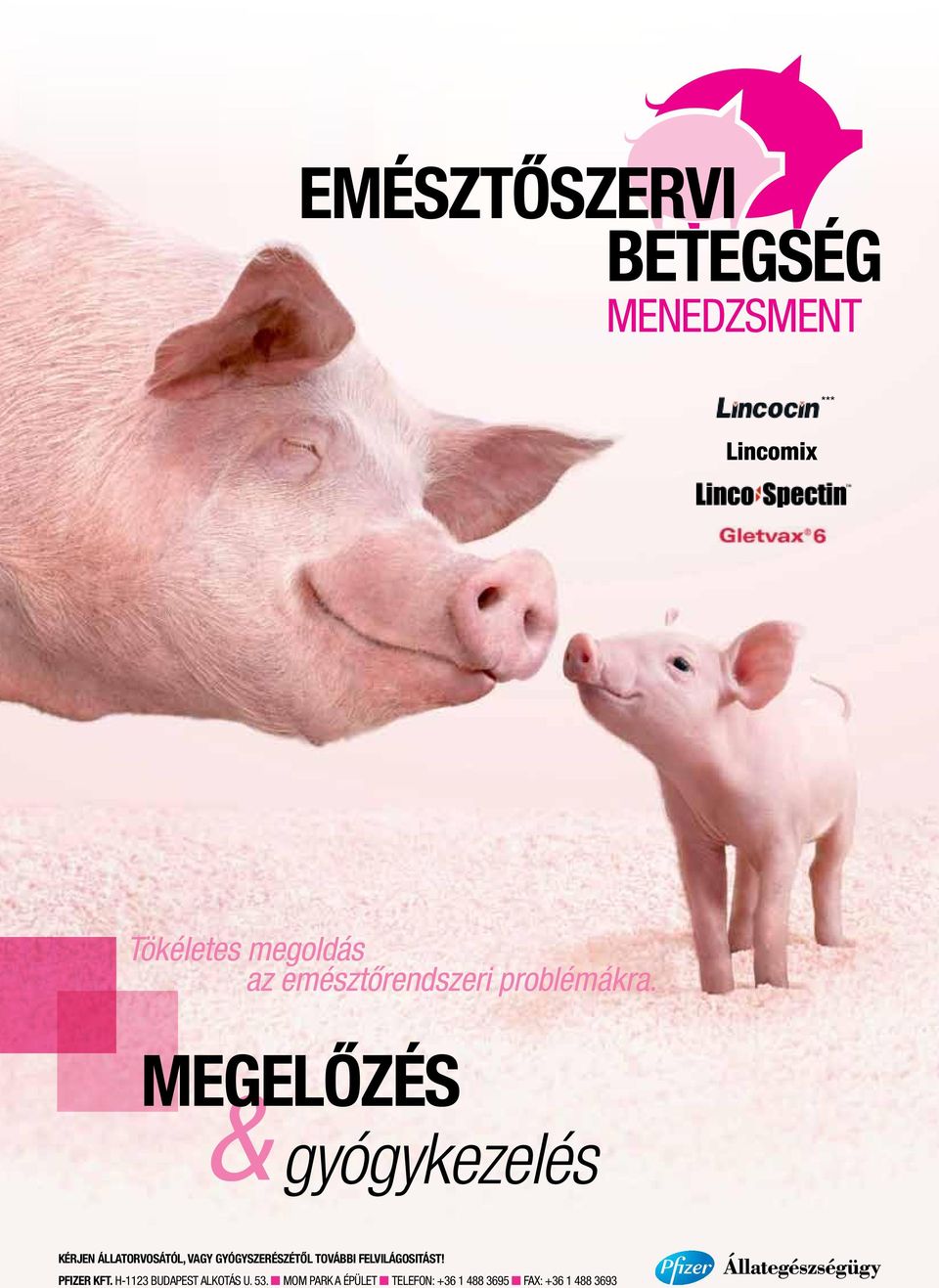 MEGELŐZÉS & gyógykezelés KÉRjEn állatorvosától, VaGy GyóGySZERÉSZÉTŐL