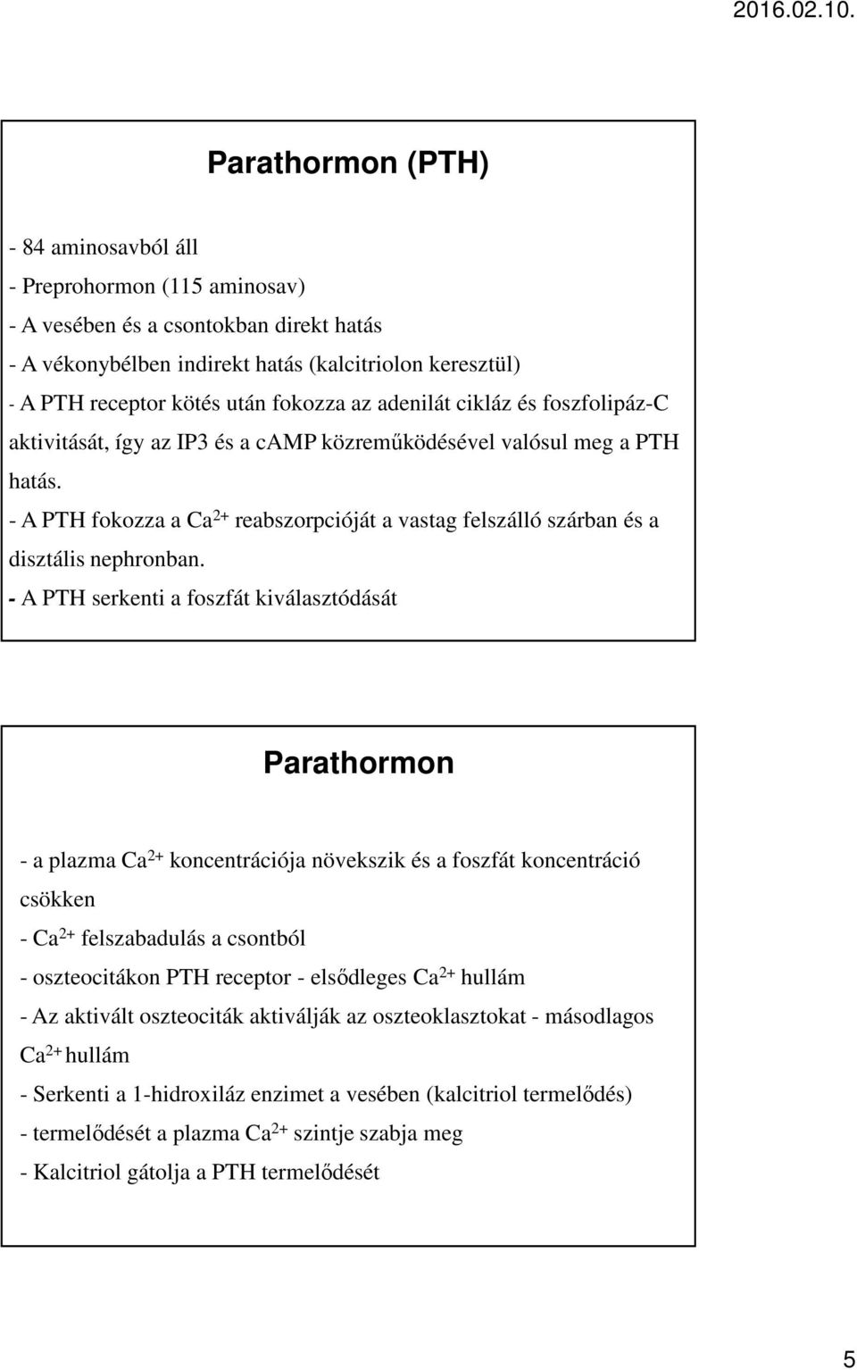 - A PTH fokozza a Ca 2+ reabszorpcióját a vastag felszálló szárban és a disztális nephronban.