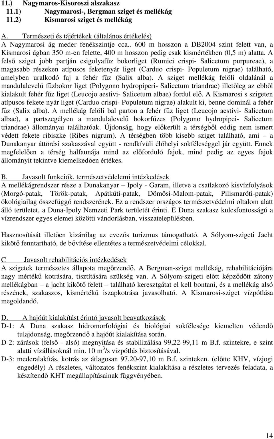 . 600 m hosszon a DB2004 szint felett van, a Kismarosi ágban 350 m-en felette, 400 m hosszon pedig csak kismértékben (0,5 m) alatta.