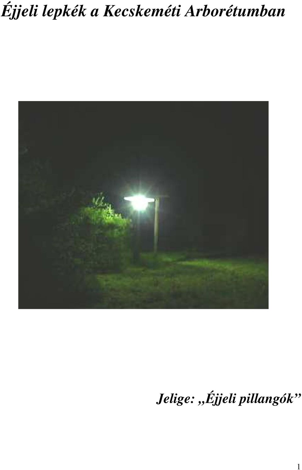 Arborétumban