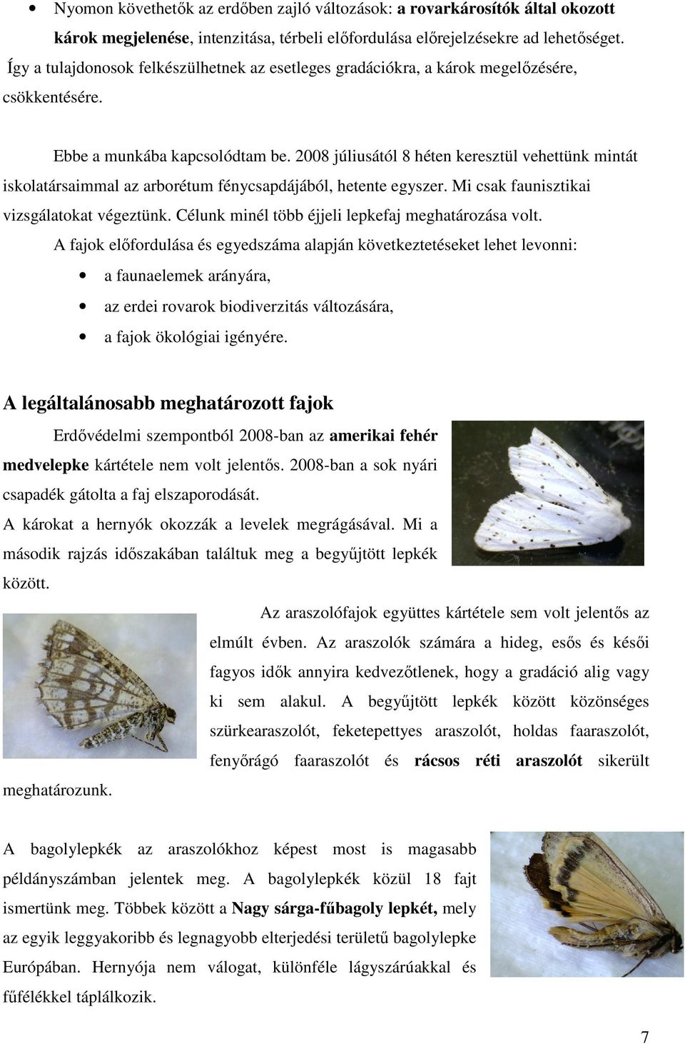 2008 júliusától 8 héten keresztül vehettünk mintát iskolatársaimmal az arborétum fénycsapdájából, hetente egyszer. Mi csak faunisztikai vizsgálatokat végeztünk.