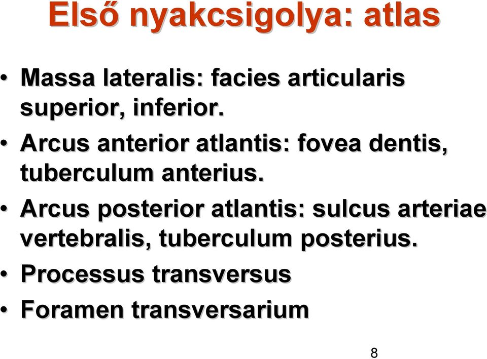 Arcus anterior atlantis: fovea dentis, tuberculum anterius.