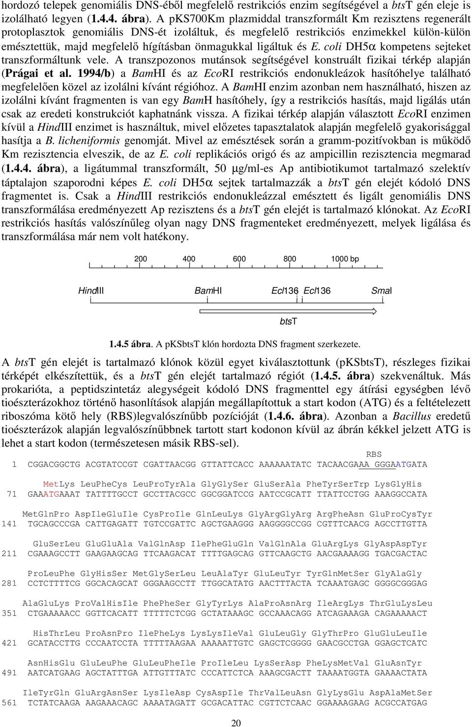 ligáltuk és E. coli DH5α kompetens sejteket transzformáltunk vele. A transzpozonos mutánsok segítségével konstruált fizikai térkép alapján (Prágai et al.