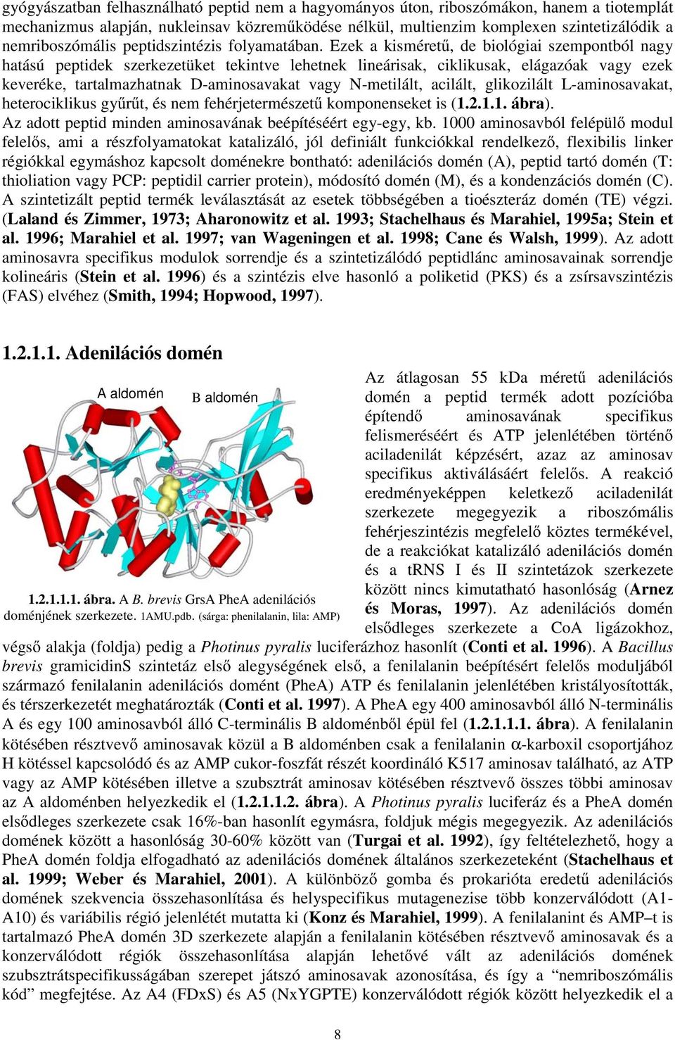 Ezek a kisméret, de biológiai szempontból nagy hatású peptidek szerkezetüket tekintve lehetnek lineárisak, ciklikusak, elágazóak vagy ezek keveréke, tartalmazhatnak D-aminosavakat vagy N-metilált,