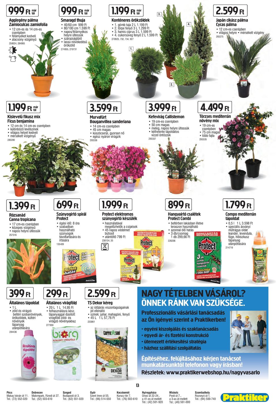 hamis ciprus 3 L 1.599 Ft 4. cukorsüveg fenyő 2 L 1.599 Ft 270925, 732, 734, 927 1. 3. 4. 2.599 Ft Japán cikász pálma Cycas pálma 12 cm-es cserépben világos helyre mérsékelt vízigény 293275 2. 1.199 Ft már Kislevelű fikusz mix Ficus benjamina 12 cm és 14 cm-es cserépben különböző levélszínek világos helyet kedveli mérsékelt vízigényű 285390 3.