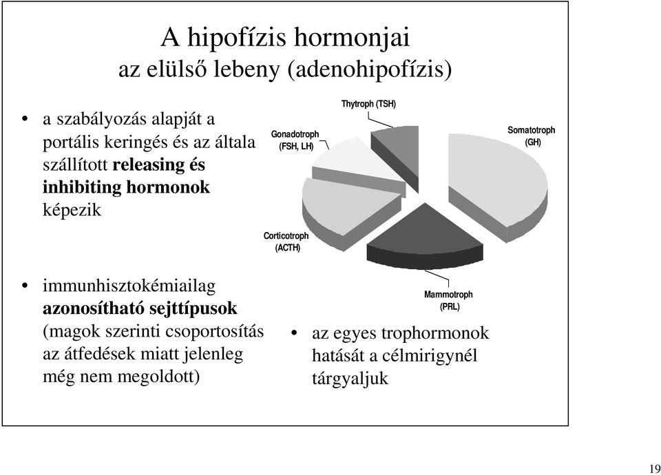 (GH) Corticotroph (ACTH) immunhisztokémiailag azonosítható sejttípusok (magok szerinti csoportosítás az