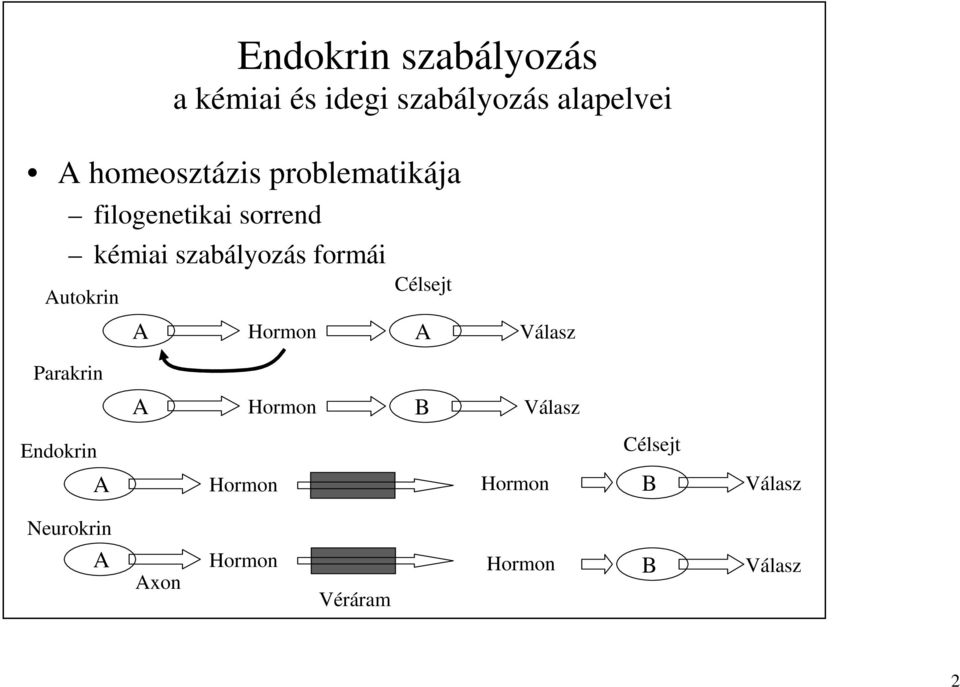 formái Autokrin Célsejt A Hormon A Válasz Parakrin A Hormon B Válasz