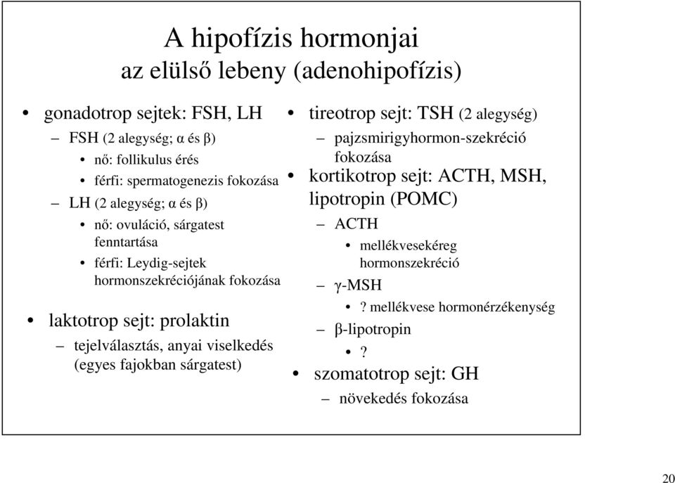 tejelválasztás, anyai viselkedés (egyes fajokban sárgatest) tireotrop sejt: TSH (2 alegység) pajzsmirigyhormon-szekréció fokozása kortikotrop sejt: