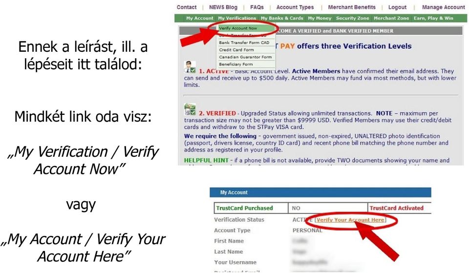 oda visz: My Verification / Verify