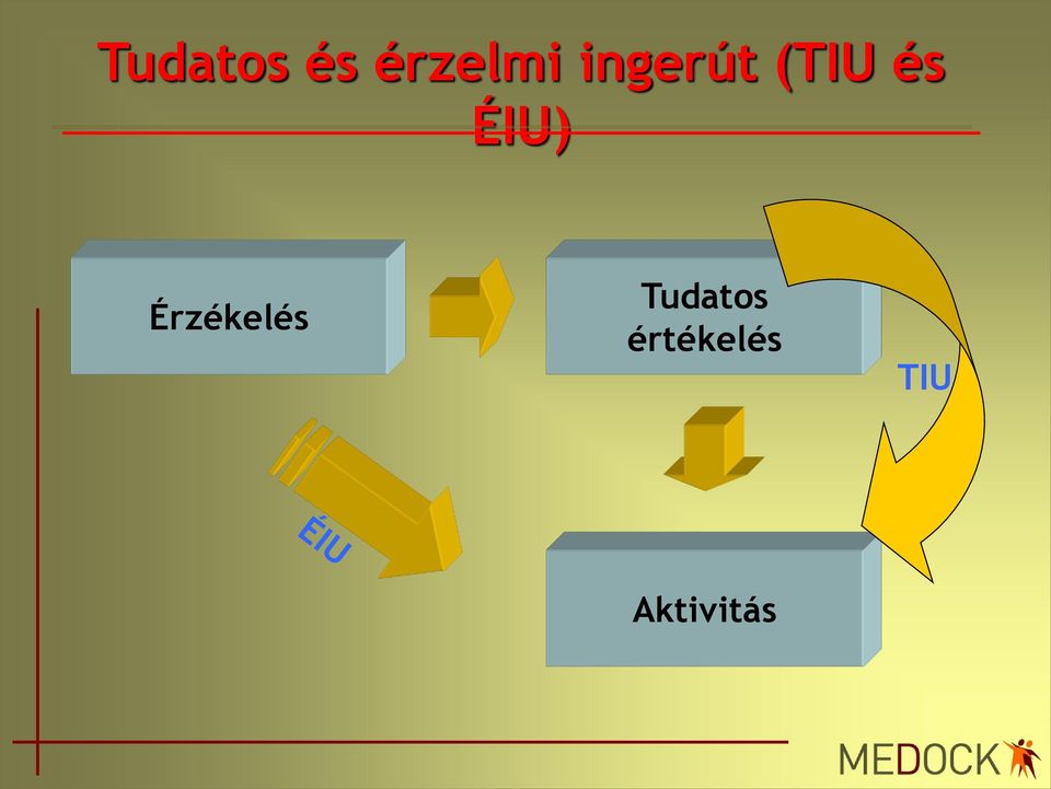 Érzékelés Tudatos