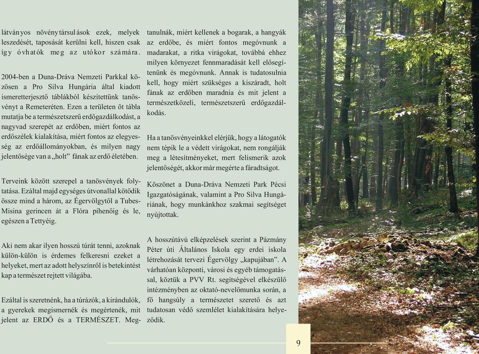 Annak is tudatosulnia 2004-ben a Duna-Dráva Nemzeti Parkkal kökell, hogy miért szükséges a kiszáradt, holt zösen a Pro Silva Hungária által kiadott fának az erdõben maradnia és mit jelent a