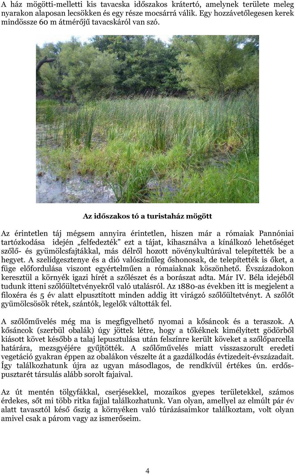 Az időszakos tó a turistaház mögött Az érintetlen táj mégsem annyira érintetlen, hiszen már a rómaiak Pannóniai tartózkodása idején felfedezték ezt a tájat, kihasználva a kínálkozó lehetőséget szőlő-