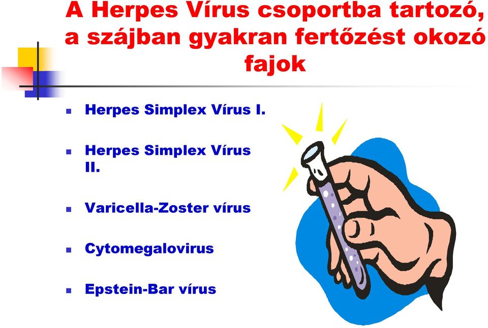 Vírus I. Herpes Simplex Vírus II.