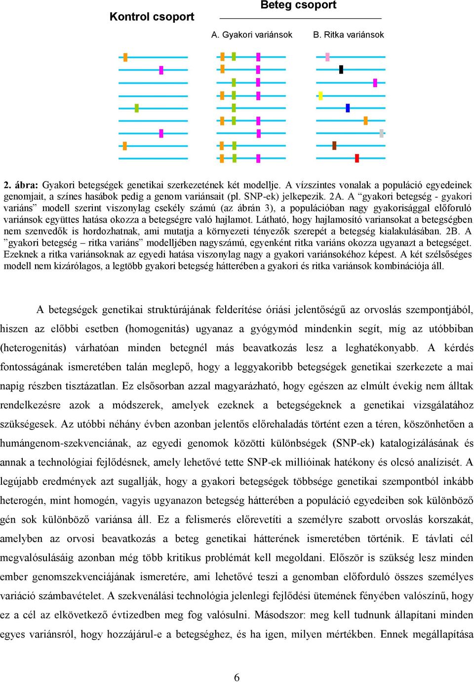 A gyakori betegség - gyakori variáns modell szerint viszonylag csekély számú (az ábrán 3), a populációban nagy gyakorisággal előforuló variánsok együttes hatása okozza a betegségre való hajlamot.