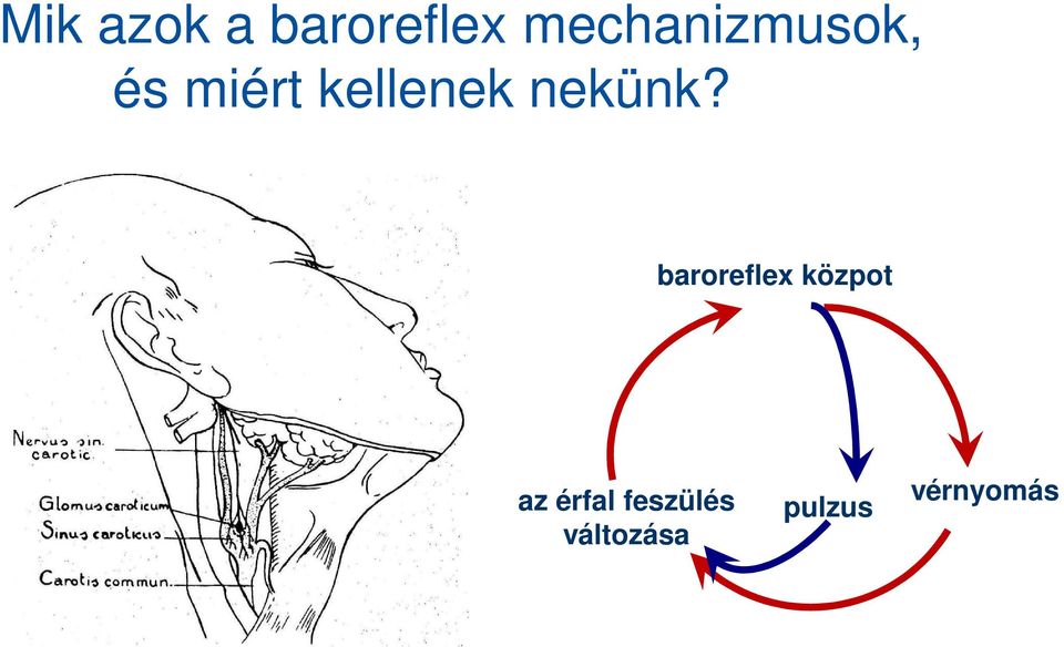 kellenek nekünk?