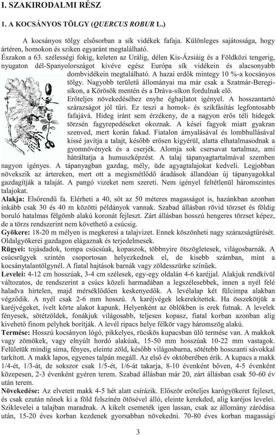 A hzi erdők mintegy 10 %- kocsányos tölgy. Ngyobb területű állományi m már csk Sztmár-Beregisíkon, Körösök mentén és Dráv-síkon fordulnk elő. Erőteljes növekedéséhez enyhe éghjltot igényel.