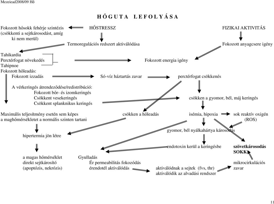 Fokozott bőr- és izomkeringés Csökkent vesekeringés csökken a gyomor, bél, máj keringés Csökkent splanknikus keringés Maximális teljesítmény esetén sem képes csökken a hőleadás isémia, hipoxia sok