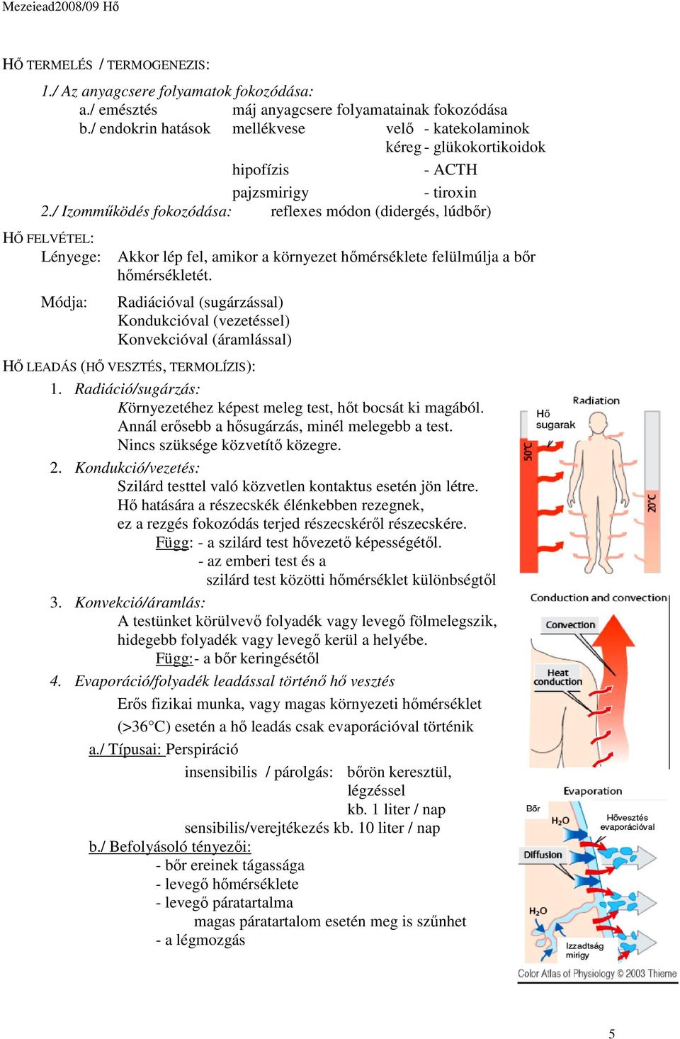 / Izomműködés fokozódása: reflexes módon (didergés, lúdbőr) HŐ FELVÉTEL: Lényege: Akkor lép fel, amikor a környezet hőmérséklete felülmúlja a bőr hőmérsékletét.