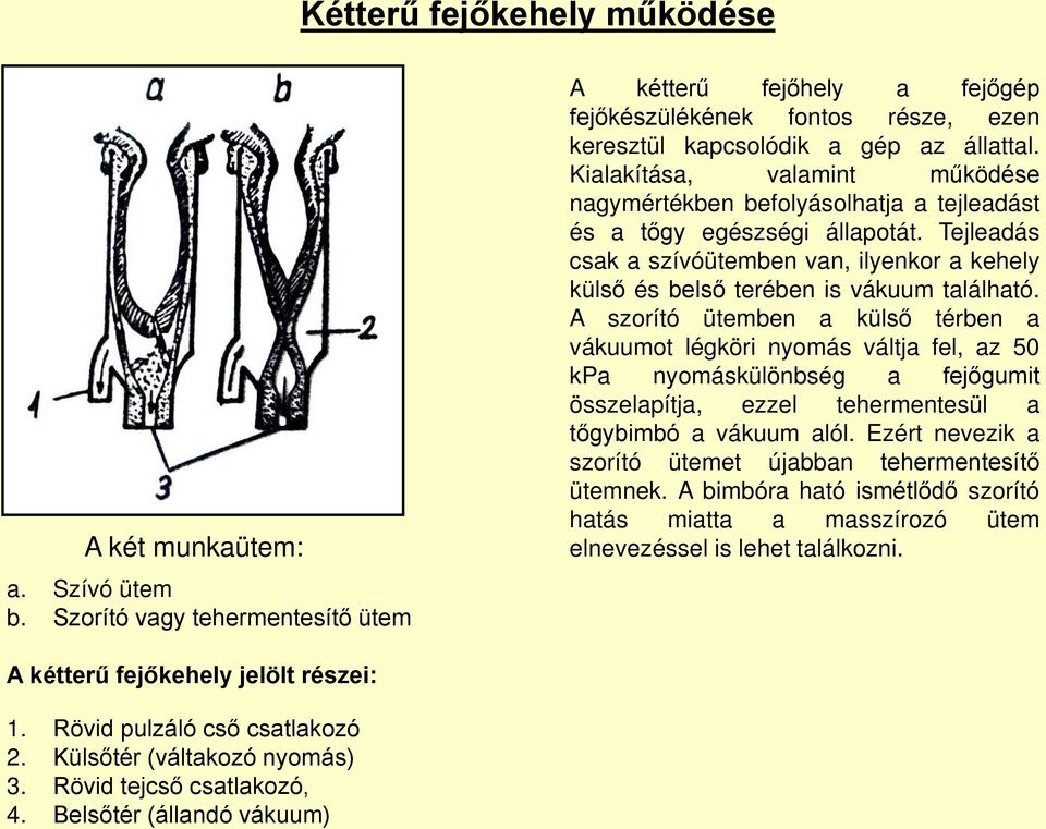 Tejleadás csak a szívóütemben van, ilyenkor a kehely külső és belső terében is vákuum található.