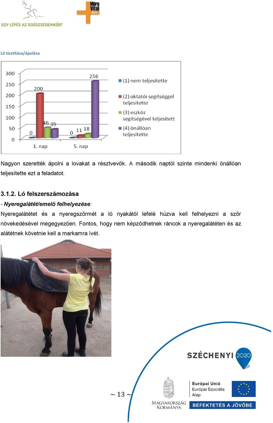 Ló felszerszámozása - Nyeregalátét/emelő felhelyezése: Nyeregalátétet és a nyeregszőrmét a ló nyakától