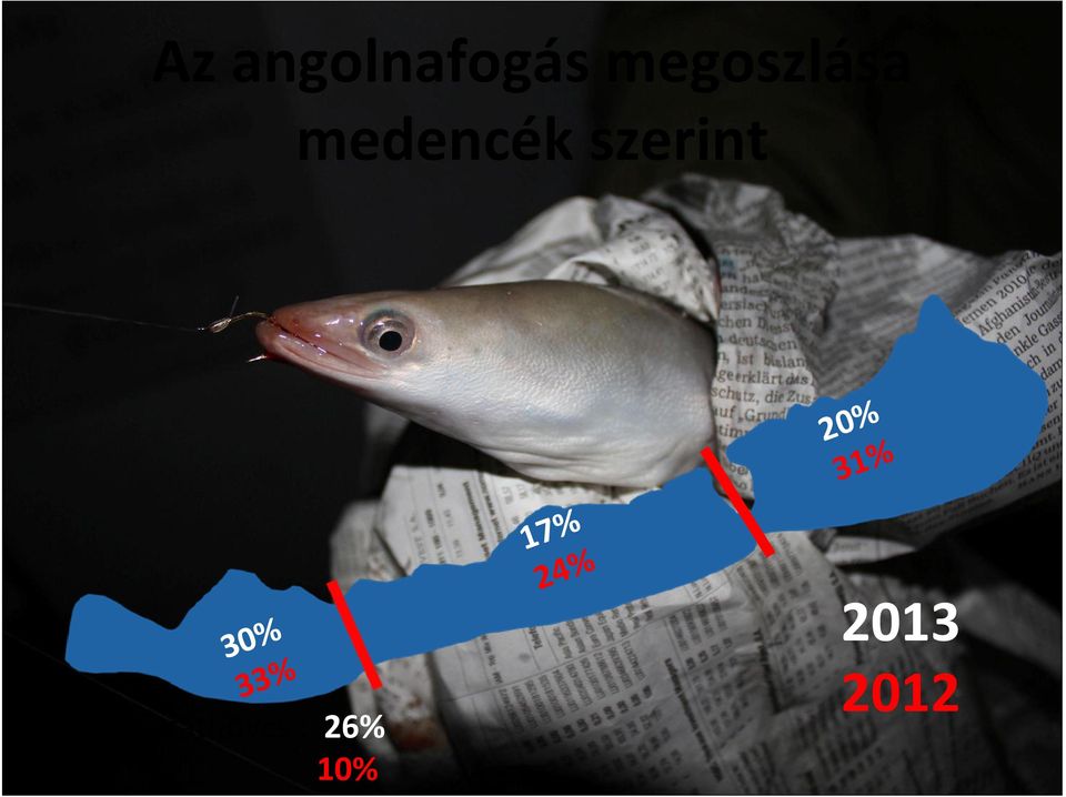 szerint 2013 30% 17% 20%