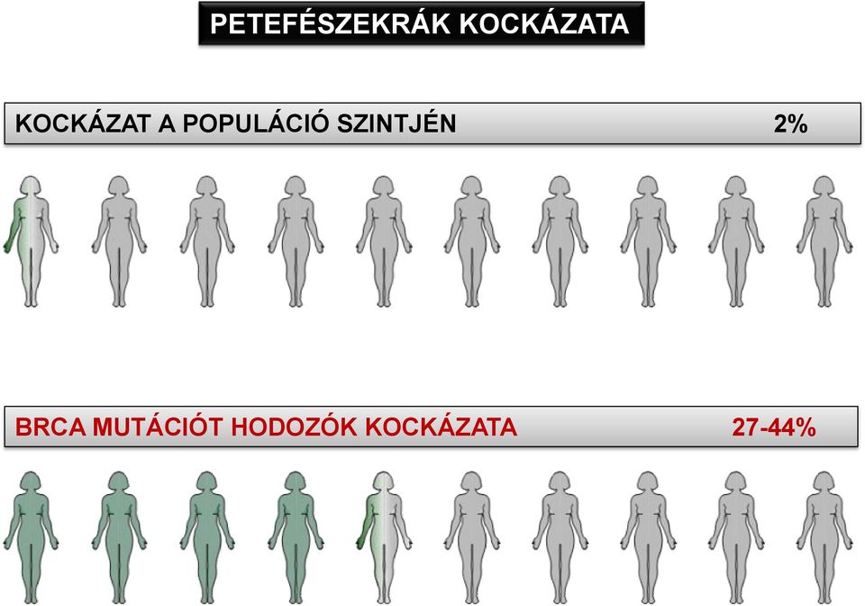 SZINTJÉN 2% BRCA