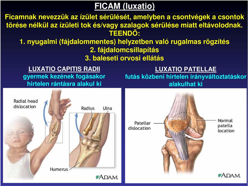 nyugalmi (fájdalommentes) helyzetben való rugalmas rögzítés 2. fájdalomcsillapítás 3.