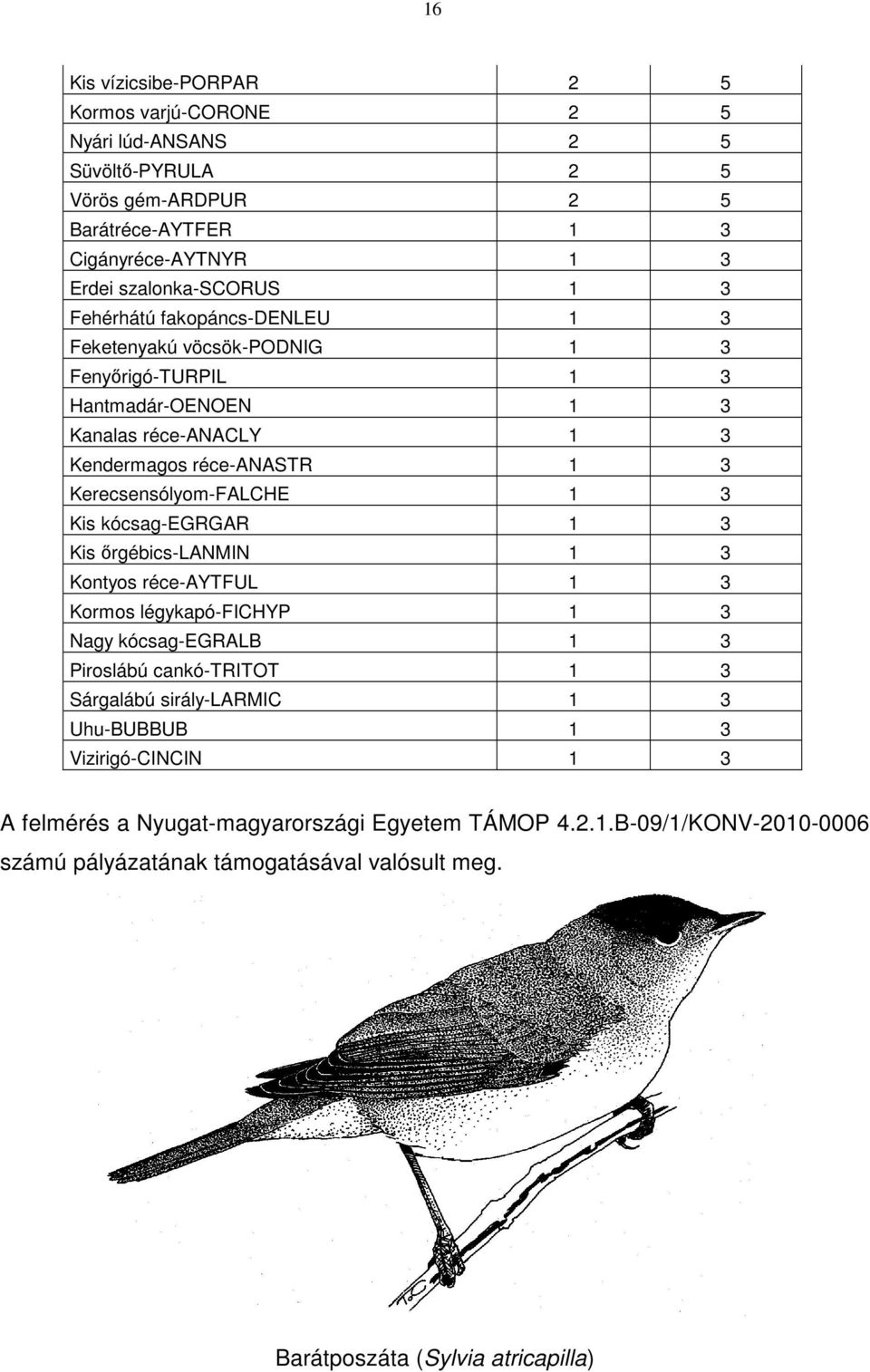 Kis kócsag-egrgar 1 3 Kis őrgébics-lanmin 1 3 Kontyos réce-aytful 1 3 Kormos légykapó-fichyp 1 3 Nagy kócsag-egralb 1 3 Piroslábú cankó-tritot 1 3 Sárgalábú sirály-larmic 1 3