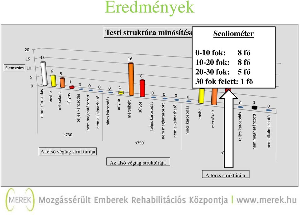 0 0 0 0 A felső végtag struktúrája Az alsó végtag struktúrája