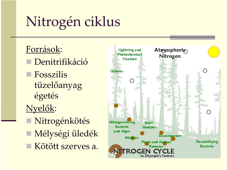 tüzelőanyag égetés Nyelők: