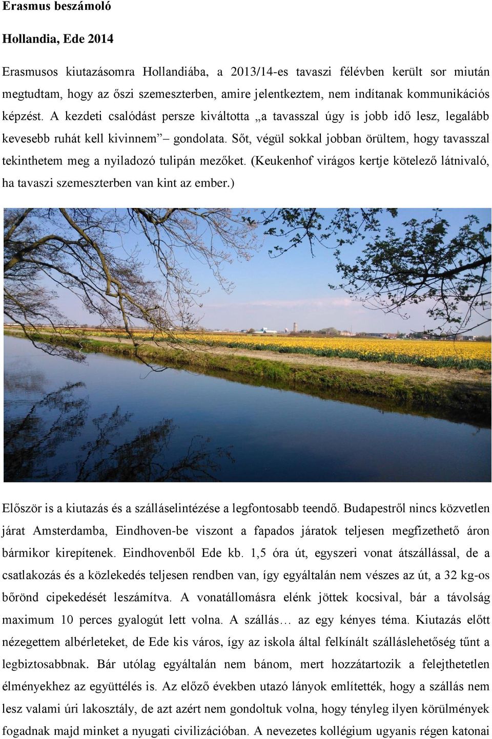 Sőt, végül sokkal jobban örültem, hogy tavasszal tekinthetem meg a nyiladozó tulipán mezőket. (Keukenhof virágos kertje kötelező látnivaló, ha tavaszi szemeszterben van kint az ember.