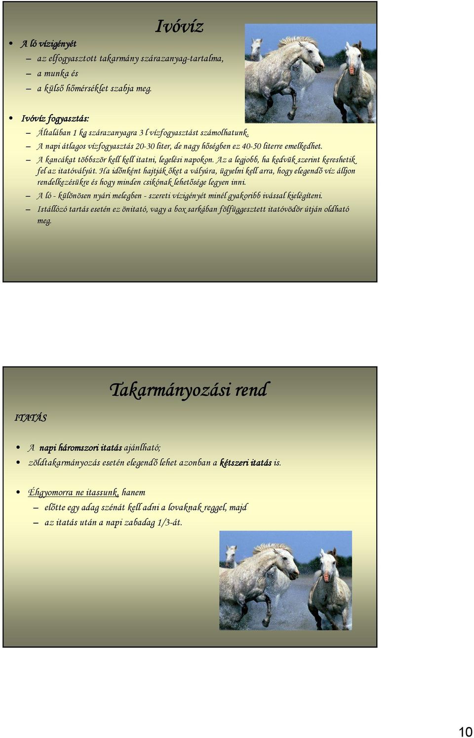 Az a legjobb, ha kedvük szerint kereshetik fel az itatóvályút.