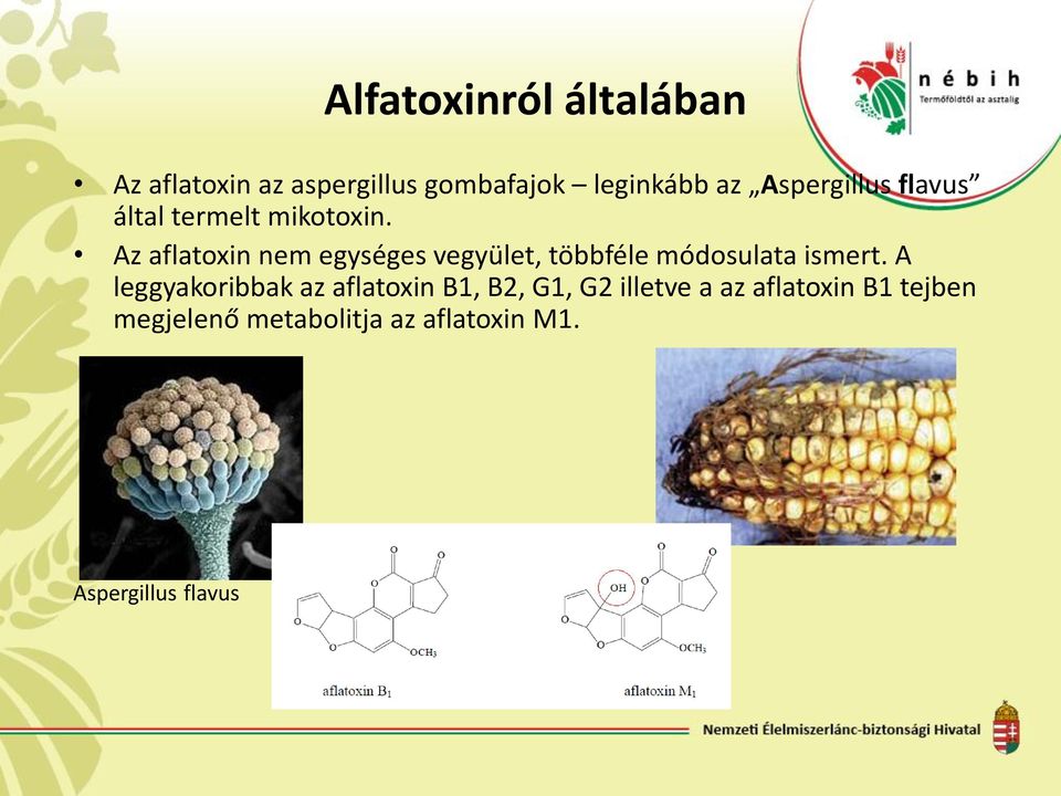 Az aflatoxin nem egységes vegyület, többféle módosulata ismert.
