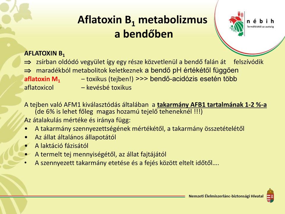 ) >>> bendő-acidózis esetén több aflatoxicol kevésbé toxikus A tejben való AFM1 kiválasztódás általában a takarmány AFB1 tartalmának 1-2 %-a (de 6% is lehet főleg magas