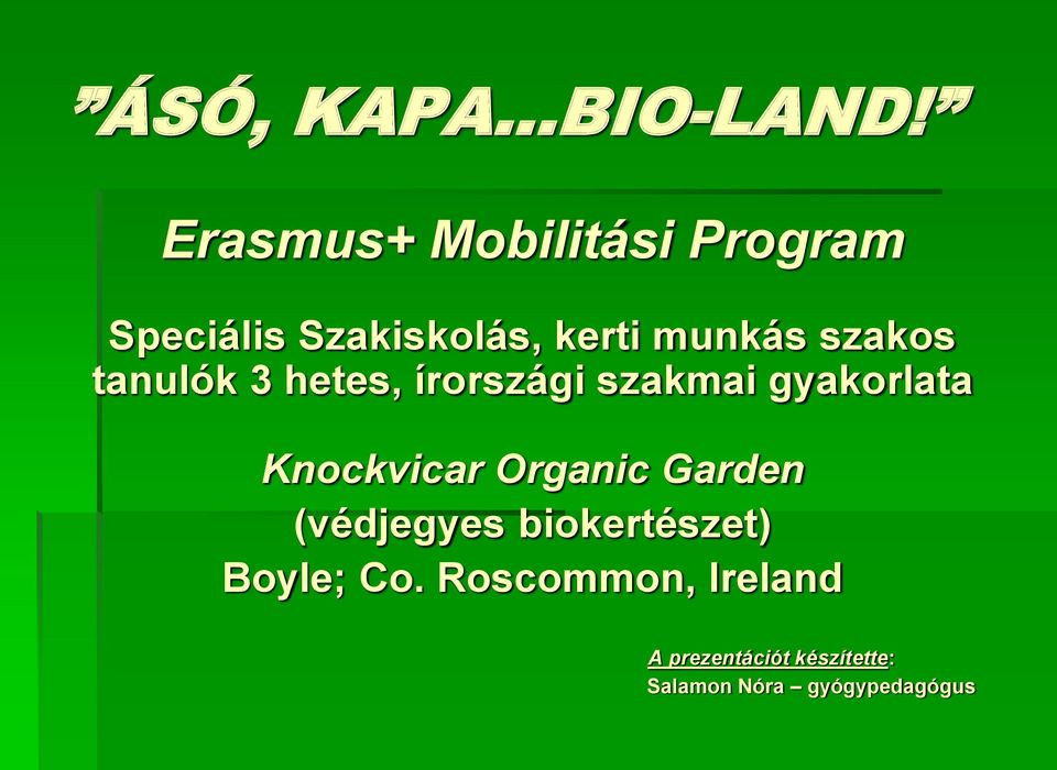 szakos tanulók 3 hetes, írországi szakmai gyakorlata Knockvicar