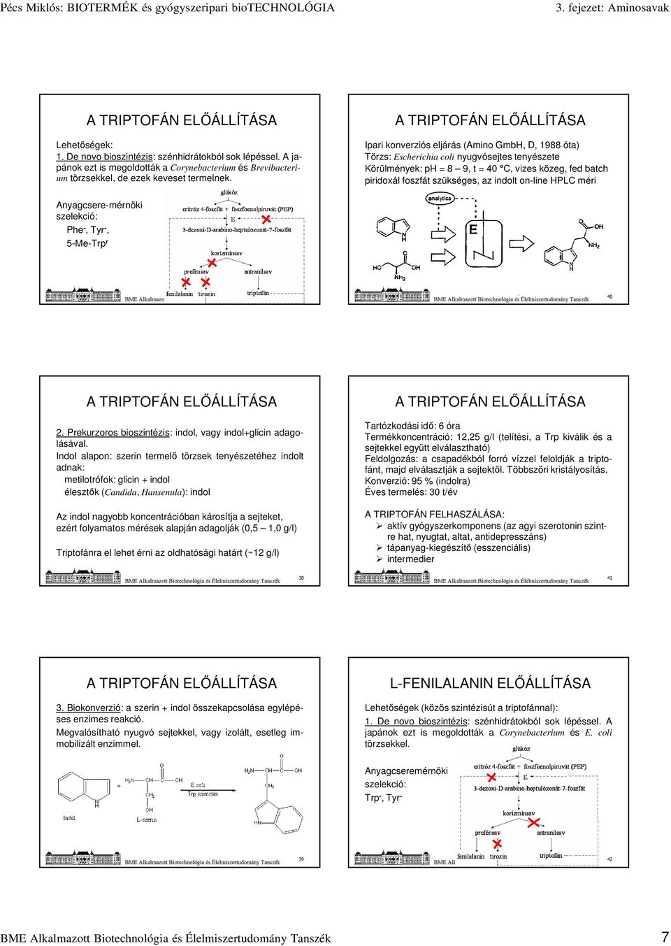 szükséges, az indolt on-line HPL méri Anyagcsere-mérnöki szelekció: Phe -, Tyr -, 5-Me-Trp r 37 40 A TRIPTOFÁN ELŐÁLLÍTÁSA 2. Prekurzoros bioszintézis: indol, vagy indol+glicin adagolásával.