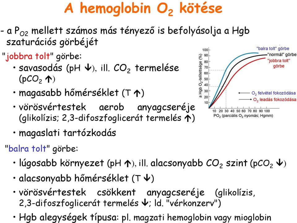 ill. alacsonyabb CO 2 szint (pco 2 ) alacsonyabb hőmérséklet (T ) vörösvértestek csökkent anyagcseréje (glikolízis, 2,3-difoszfoglicerát termelés ; ld. "vérkonzerv") Hgb alegységek típusa: pl.