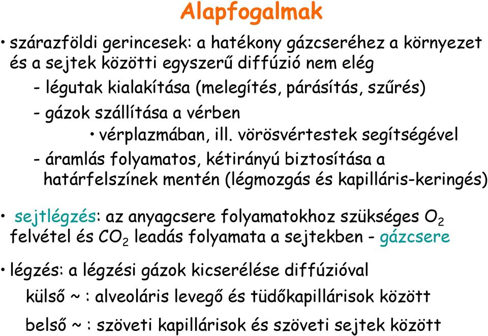 vörösvértestek segítségével - áramlás folyamatos, kétirányú biztosítása a határfelszínek mentén (légmozgás és kapilláris-keringés) sejtlégzés: az