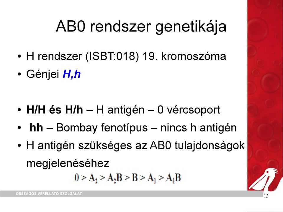 vércsoport hh Bombay fenotípus nincs h antigén H