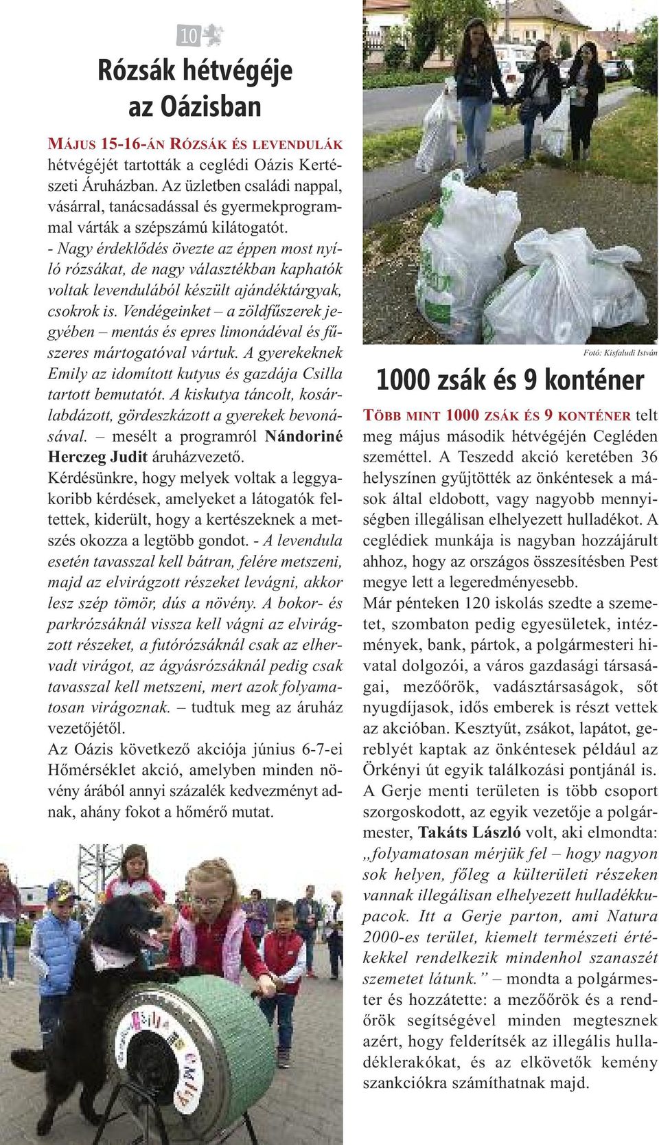 - Nagy érdeklődés övezte az éppen most nyíló rózsákat, de nagy választékban kaphatók voltak levendulából készült ajándéktárgyak, csokrok is.