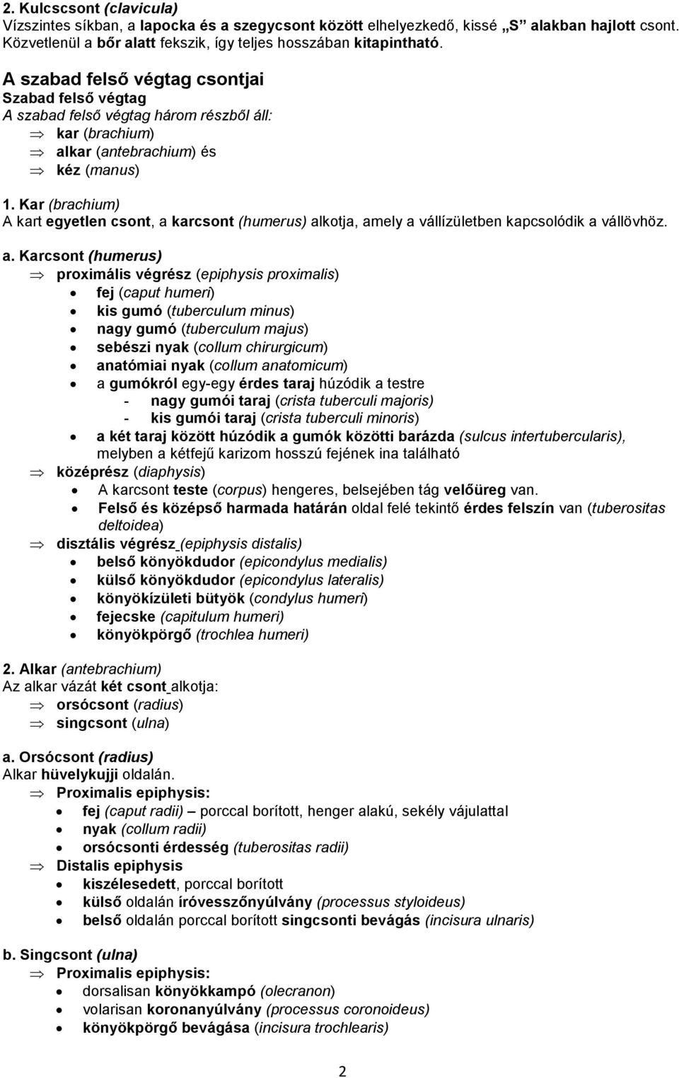 Kar (brachium) A kart egyetlen csont, a 