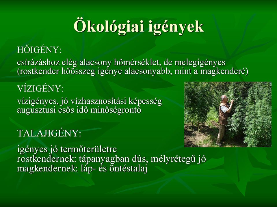 képesség augusztusi esős idő minőségrontó TALAJIGÉNY: Ökológiai igények igényes jó